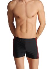 ARENA - Boxer da mare