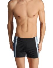 ARENA - Boxer da mare