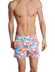GERRY ST.TROPEZ - Boxer da mare