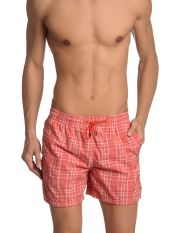 RODA - Boxer da mare