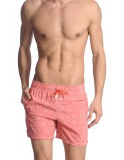 RODA - Boxer da mare
