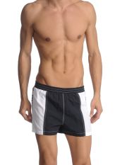 ARENA - Boxer da mare