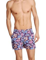 RODA - Boxer da mare