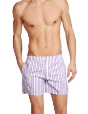 RODA - Boxer da mare