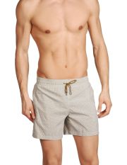 RODA - Boxer da mare