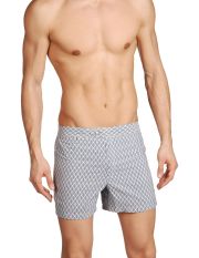 RODA - Boxer da mare