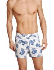 RODA - Boxer da mare