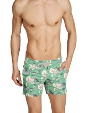 MYTHS - Boxer da mare