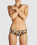 ROBERTO CAVALLI UNDERWEAR - Brief