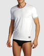 D&G UNDERWEAR - true