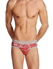 CALVIN KLEIN - Brief