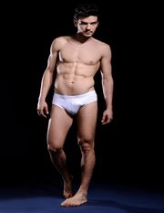 ROBERTO CAVALLI - Brief