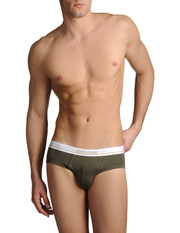 ROBERTO CAVALLI - Brief