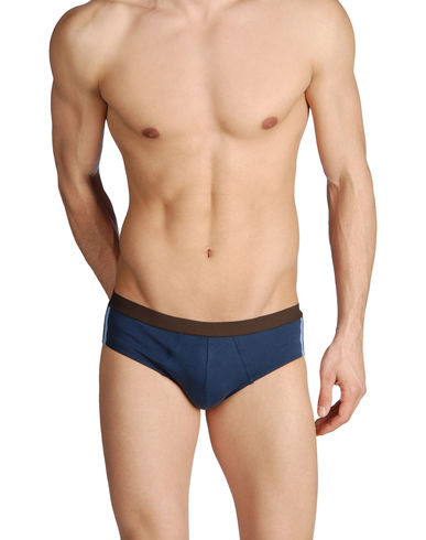 ZOOM JULIPET - Brief