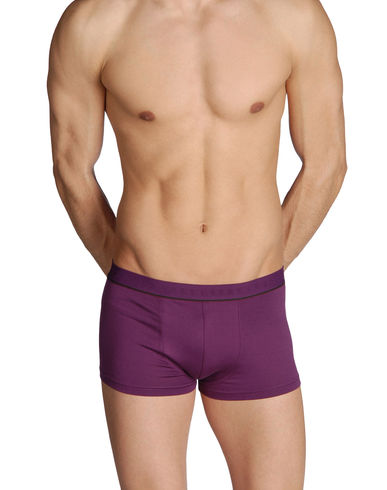 ZOOM JULIPET - Boxer