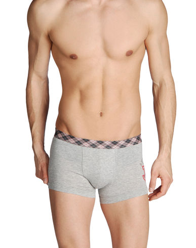 ZOOM JULIPET - Boxer