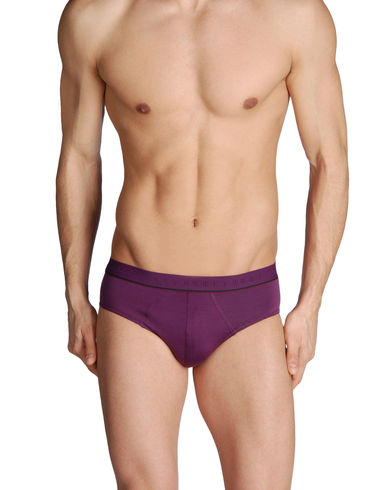 ZOOM JULIPET - Brief