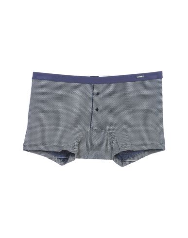 ZOOM JULIPET - Boxer