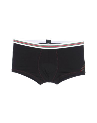 ZOOM JULIPET - Boxer