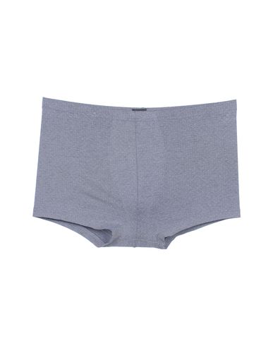 ZOOM JULIPET - Boxer