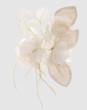 ANTONIO MARRAS - Brooches