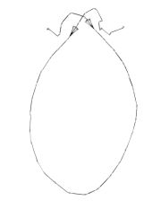 CHRISTIAN DIOR - Necklace
