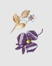 MARNI - Brooches