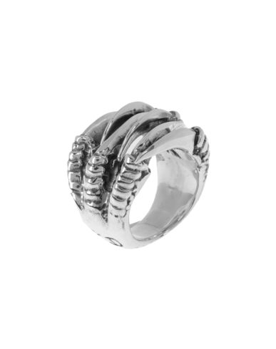 ZOOM KD2024 - Ring