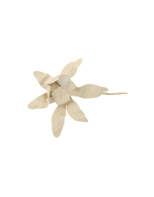 Brooches Men's - ANN DEMEULEMEESTER