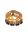 Gold Gold