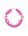 Fuchsia Fuchsia