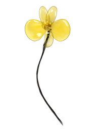 LANVIN - Brooch