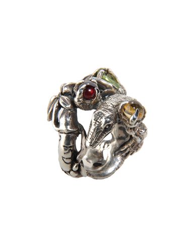 ZOOM KD2024 - Ring
