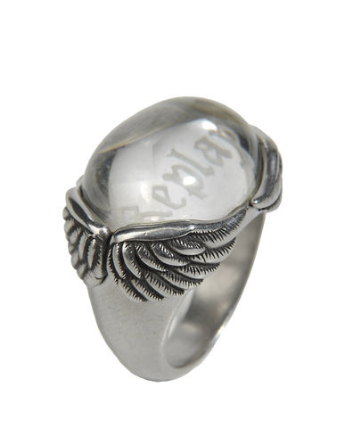 ZOOM REPLAY - Ring