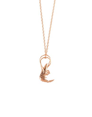 ZOOM ALEX MONROE - Necklace