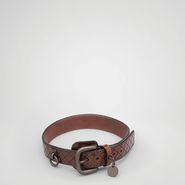 Intreccio Scolpito Dog Collar - Pet Accessory - BOTTEGA VENETA - PE13 - 335