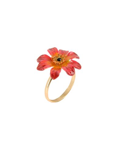 ZOOM LES NEREIDES - Ring