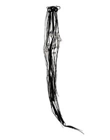 Brooches - ANN DEMEULEMEESTER