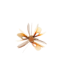 MARNI - Brooch