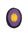 Purple Purple