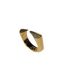 Ring - DOMINIC JONES