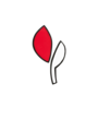 MARNI - Set di spille