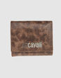 JUST CAVALLI - true