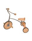 MOULIN ROTY - Wooden tricycle