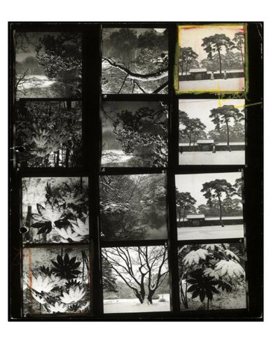 ZOOM MAGNUM PHOTOS - Contact SheetC