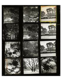 MAGNUM PHOTOS - Contact Sheet