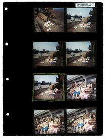 MAGNUM PHOTOS - Contact SheetC