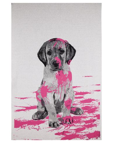 ZOOM STUDIO VOLTAIRE - Blanket