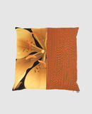 B&B ITALIA OBJECT - Cushion