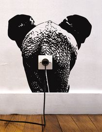 DOMESTIC - Decoration